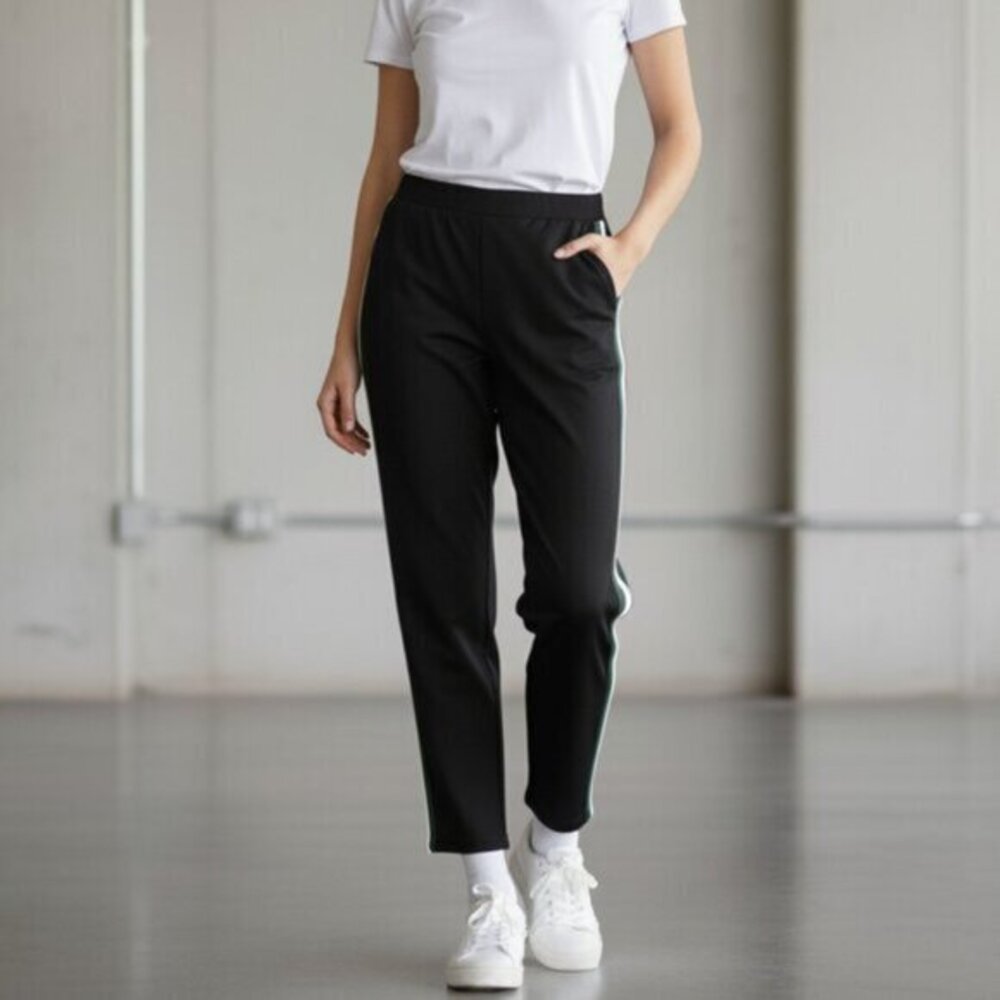 Aritzia Wilfred Tuxedo Pant Navy Side Stripe Trousers Pleated Size 00 Business